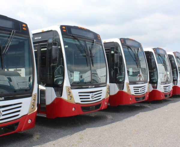 transporte colectivo